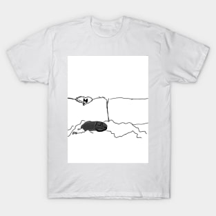 Nap Time. Catboss and Kerfuffle. T-Shirt